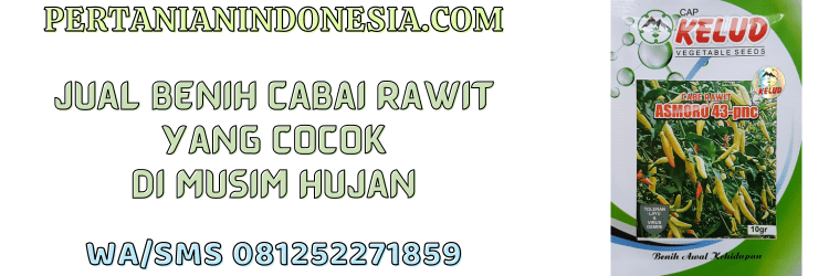 jual,murah,terjangkau,toko pertanian terdekat,pertanian indonesia